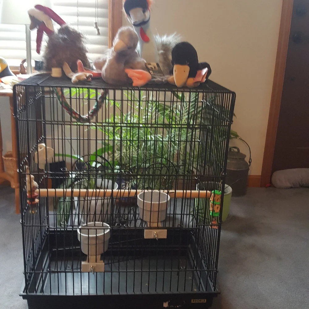Travel cage collapsible